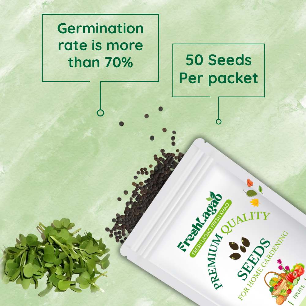 Mustard Microgreen Seeds (25g) - Image 2