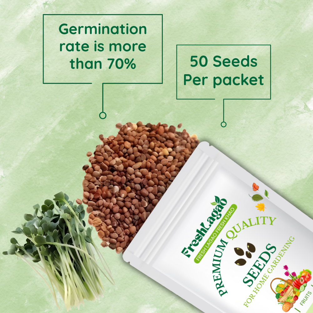 Radish Microgreens Seeds