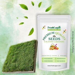 Selection No. 1 Grass Seeds for Carpet Home Garden (50g)