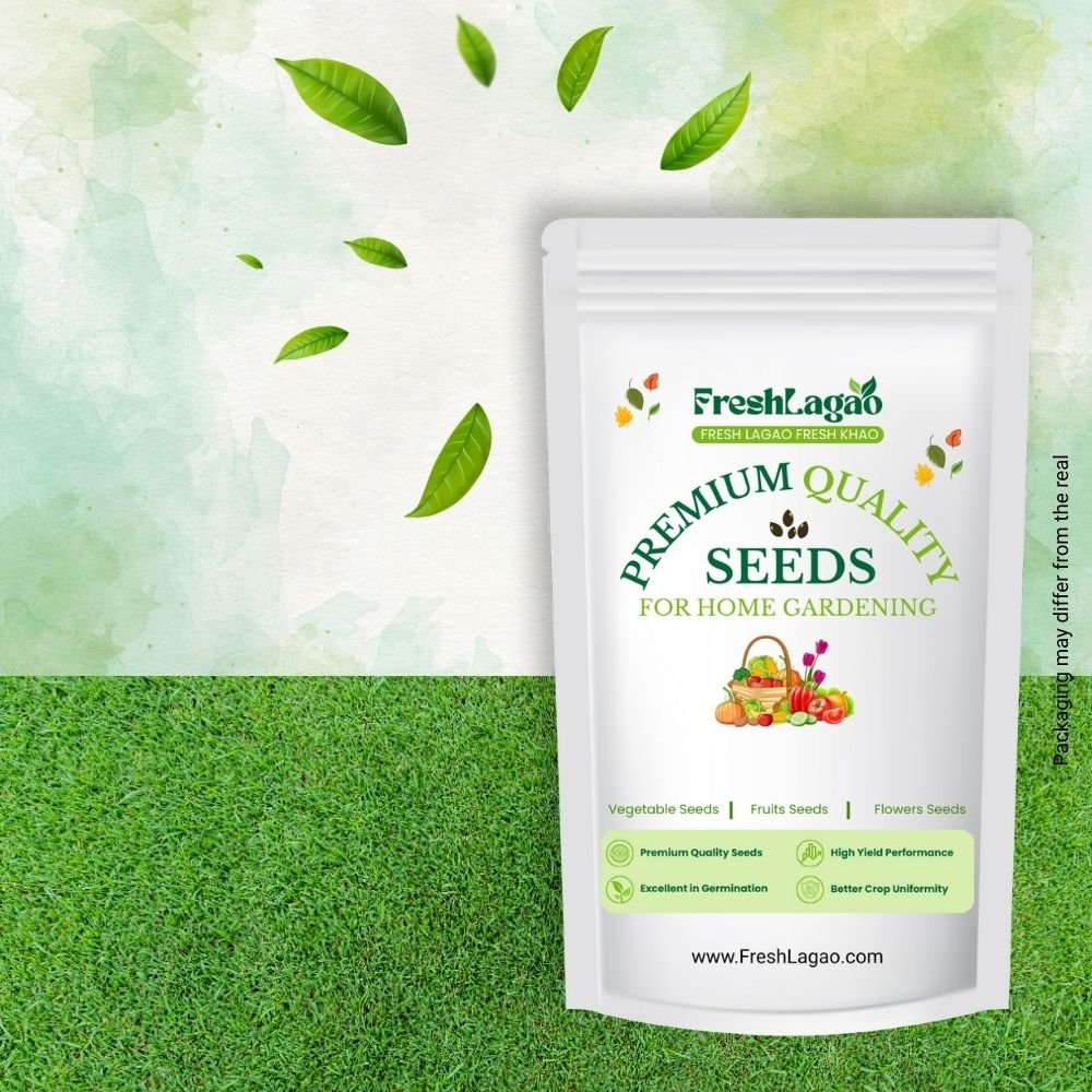 American Bermuda Grass Seeds For Lawn Garden (50g)