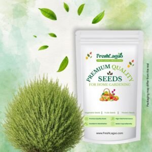 Kochia Fire Bush Seeds