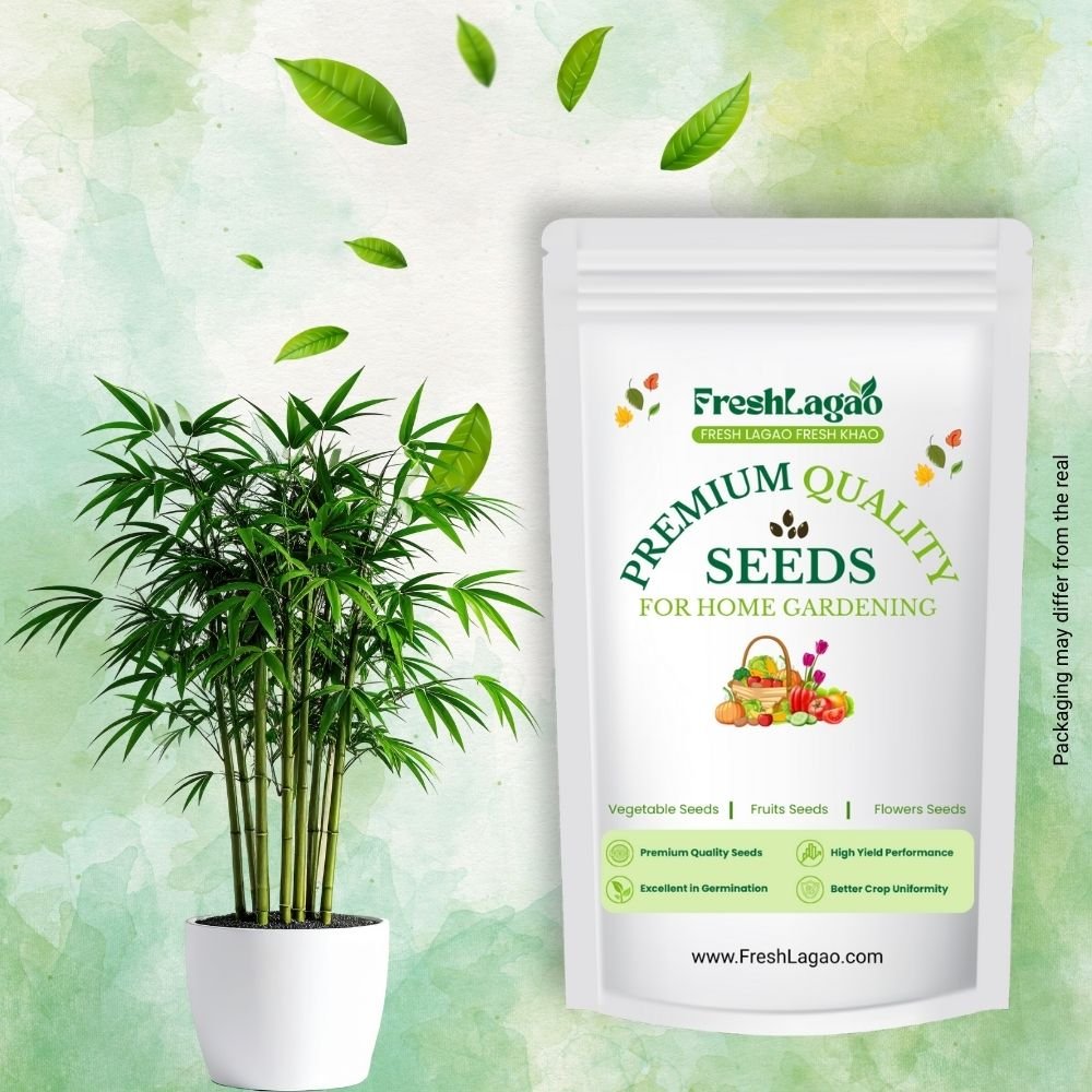 Bamboo Plant Seeds (Dendrocalamus Strictus)